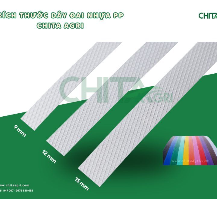 Quy Cách Dây Đai Nhựa PP: Phân Tích Độ Rộng, Độ Dày Và Lực Kéo