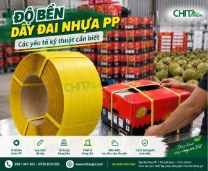 Độ bền dây đai nhựa PP là kết quả của nhiều yếu tố kết hợp: chất lượng nguyên liệu, độ rộng, độ dày, khả năng chịu kéo, độ giãn, lực căng, thiết bị, cách đóng đai và điều kiện lưu kho – vận chuyển.