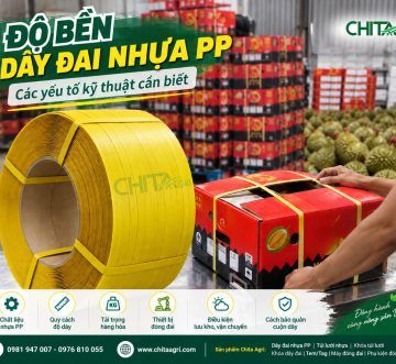 Độ Bền Dây Đai Nhựa PP: Các Yếu Tố Kỹ Thuật Cần Biết