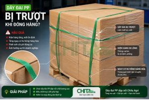 Hiện tượng dây đai PP bị trượt không đơn thuần là lỗi của máy đóng đai. Trong nhiều trường hợp, nguyên nhân đến từ việc lựa chọn sai loại dây, quy cách chưa phù hợp hoặc chất lượng dây không ổn định.