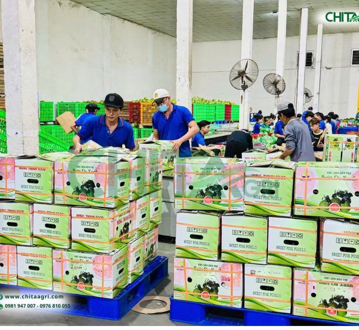 Thiết Kế Bao Bì Nông Sản Thế Nào Để Tối Ưu Chi Phí Vận Chuyển?