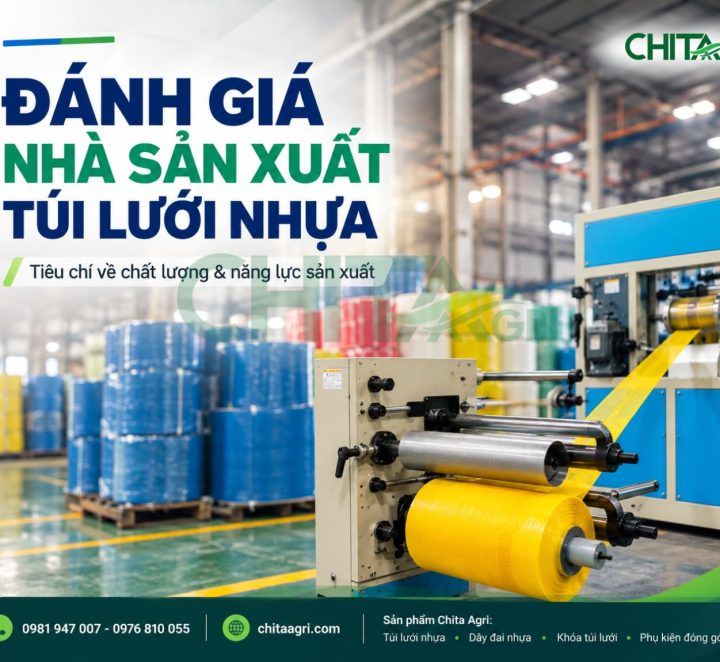 Đánh Giá Nhà Sản Xuất Túi Lưới Nhựa: Tiêu Chí Quan Trọng Về Chất Lượng Và Năng Lực Sản Xuất