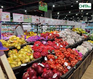 Túi lưới nhựa phù hợp nhiều quy cách đóng gói, đáp ứng nhu cầu sử dụng linh hoạt của doanh nghiệp.