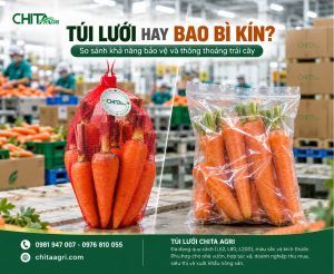 So sánh túi lưới và bao bì kín về độ thông thoáng, khả năng bảo vệ, kiểm tra sản phẩm và ứng dụng trong đóng gói trái cây