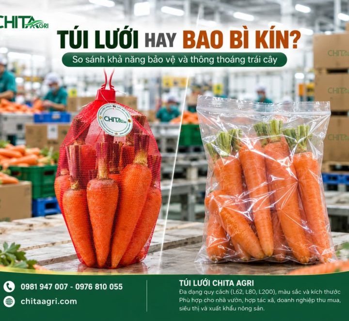 Túi Lưới Hay Bao Bì Kín? So Sánh Khả Năng Bảo Vệ Và Thông Thoáng Trái Cây