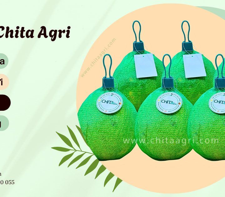 Vì Sao Nhiều Doanh Nghiệp Nông Sản Kết Hợp Túi Lưới Với Tem Nhãn Khi Đóng Gói?